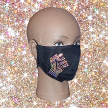 Load image into Gallery viewer, Black Lives Matter Adjustable Bling Mask w/filter
